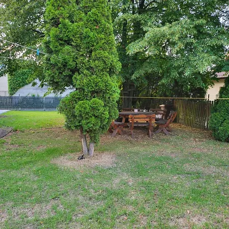 Virgo Premium Business