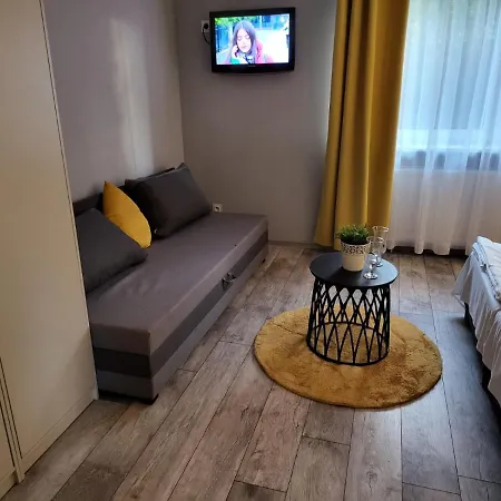 Virgo Premium Business