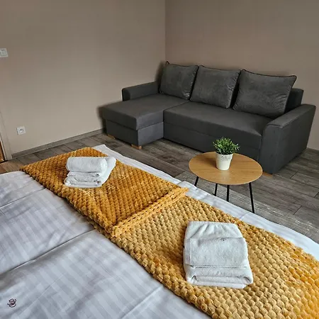 Virgo Premium Business