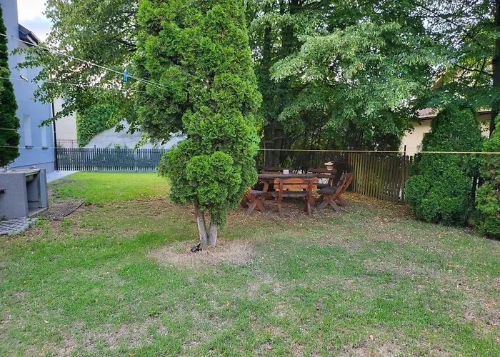 Virgo Premium Business