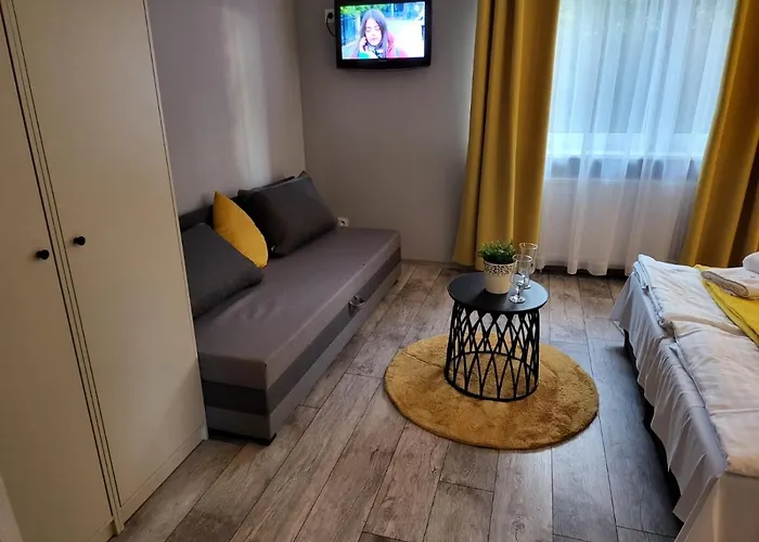 Virgo Premium Business